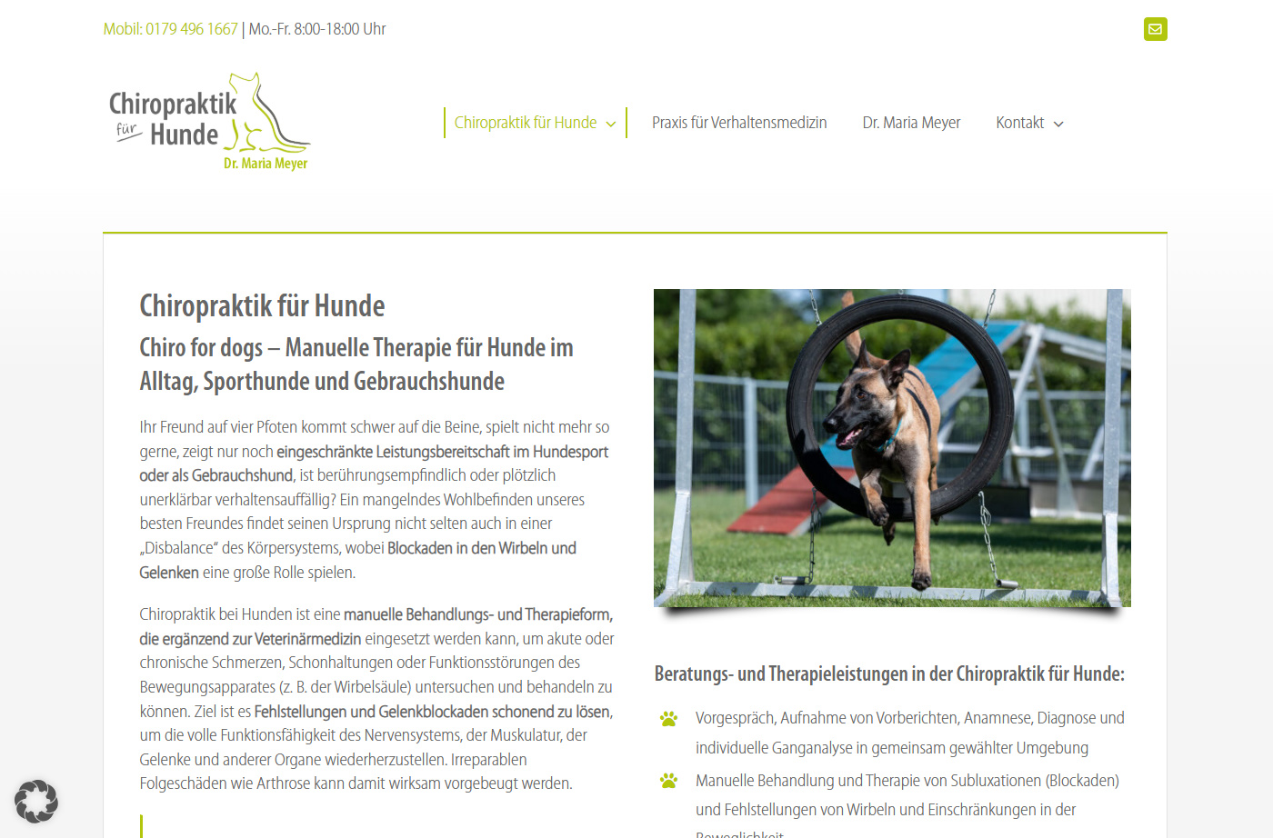 Referenzbild der Kundenwebsite chirofordogs.de