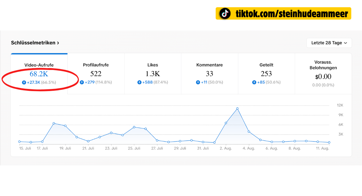 TikTok Statistik Steinhude-am-Meer.de